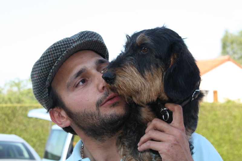 CH. Kobeddus Daikuro - BhFK-France 1.prix 100pts CACT-CACIT