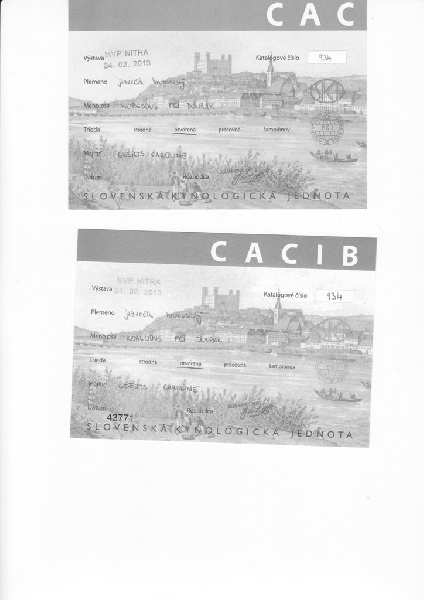 CH. Kobeddus Dourak - exc.1 CAC,CACIB