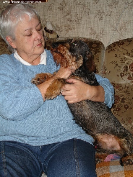 CH. Hieros Des horles de la vieille voye - 19 ième Champ.Internat.de Travail issu de Hieros