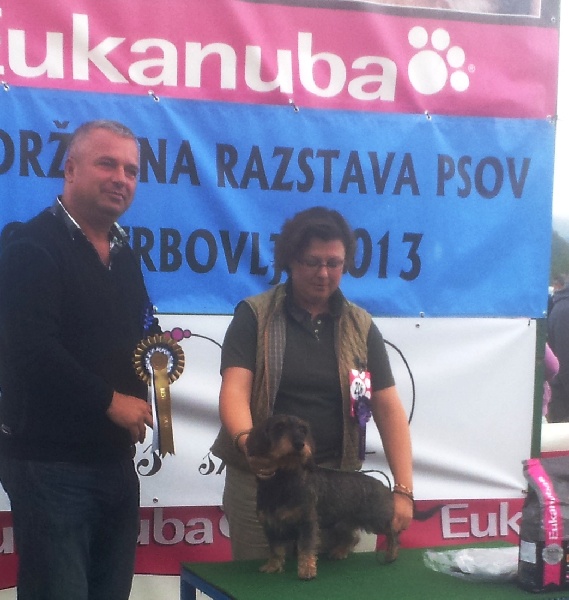 CH. Kobeddus Fridolín - exc.1 CAC,BOB,BOG