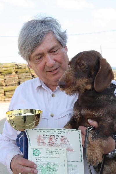 CH. Kobeddus Dourak - Épreuve Internationale-France 1.prix 100pts CACT-CACIT