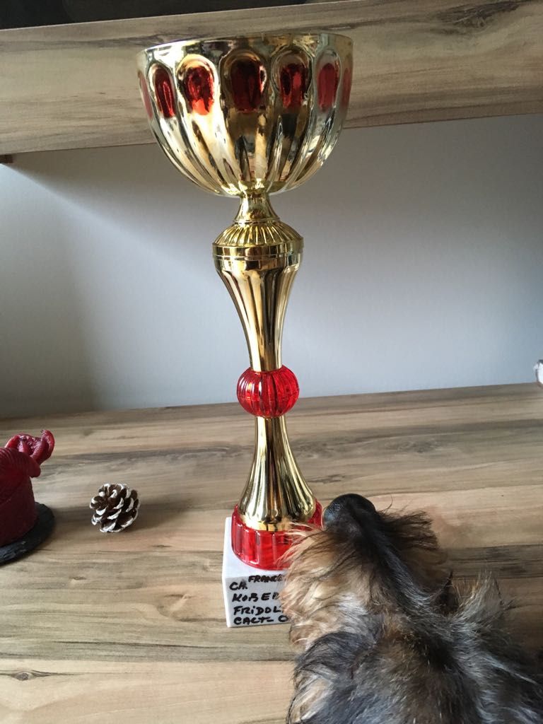 CH. Kobeddus Fridolín - Épreuve France 1.prix 100pts CACT-CACIT