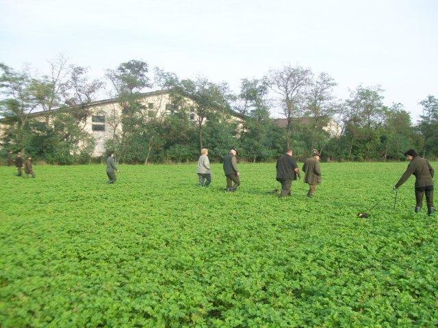 CH. Kobeddus Fridolín - Sp 1.prix, 100pts