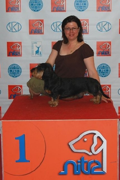 CH. Kobeddus Daikuro - exc.1 CAC,CACIB,BOB