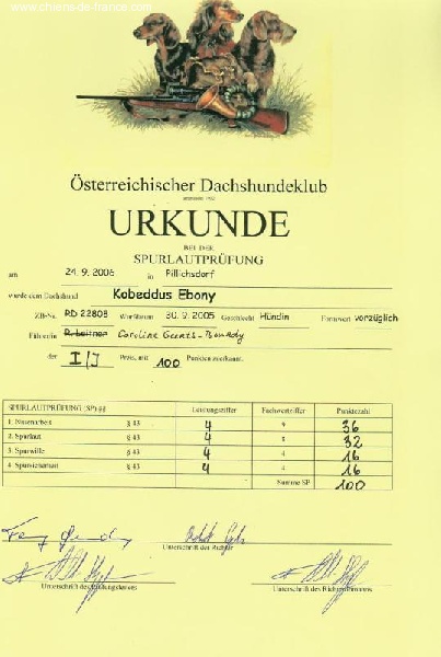 CH. Kobeddus Ebony - Sp/Jeune 100pts 1.prix + Meilleur du Concours