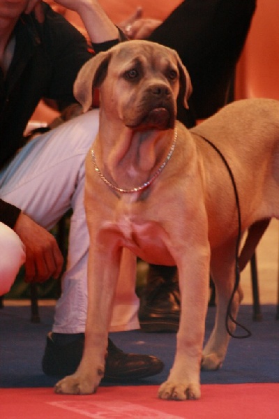 Cold case des Gardiens du Panthéon - Très Prometteur Classe Baby