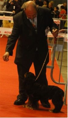 Flamenco des marais de Bremes - 4 è EXCELLENT classe ouverte