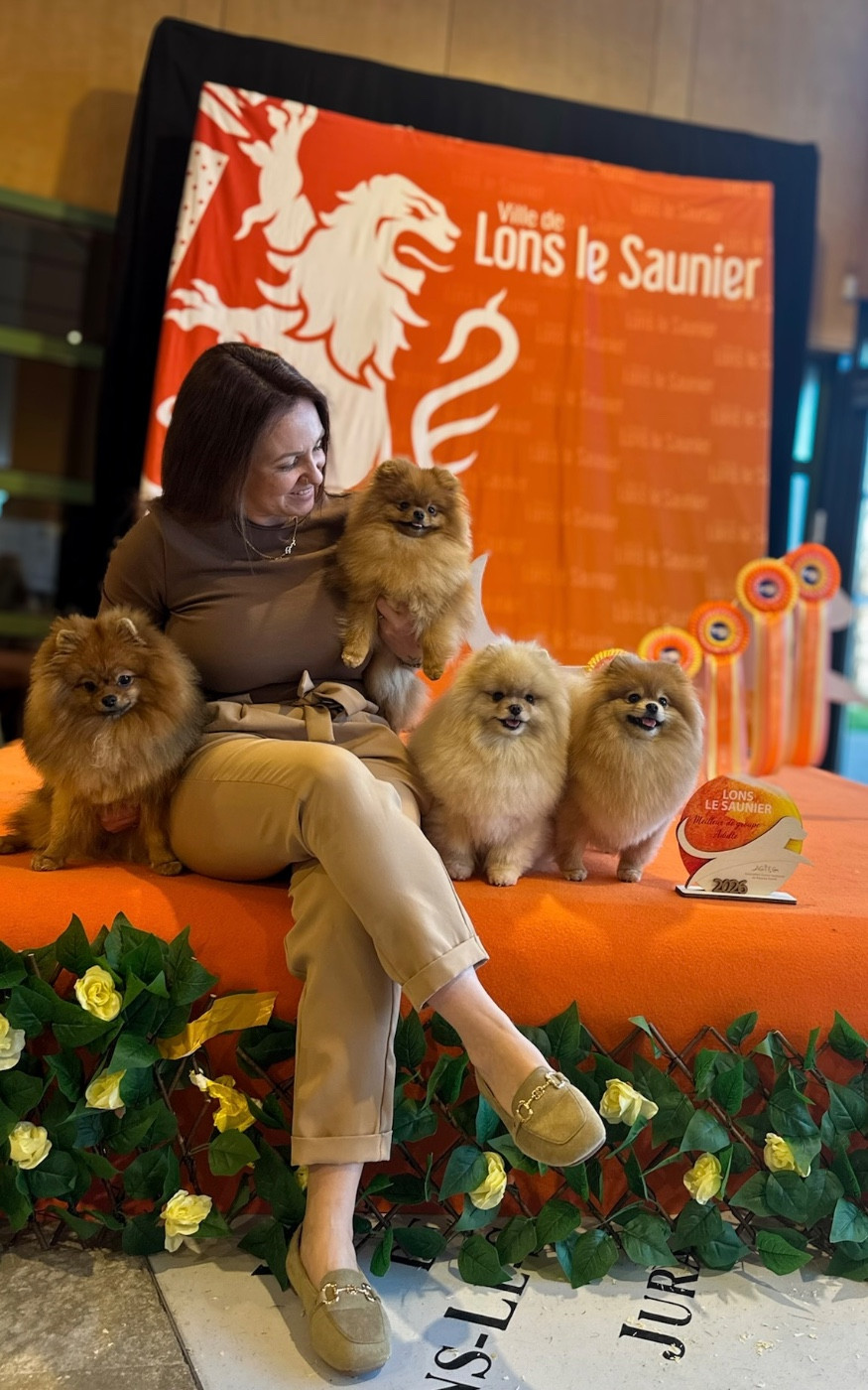 CH. Pom Of The Gang Chantilly - 1er Excellent, Meilleur de race