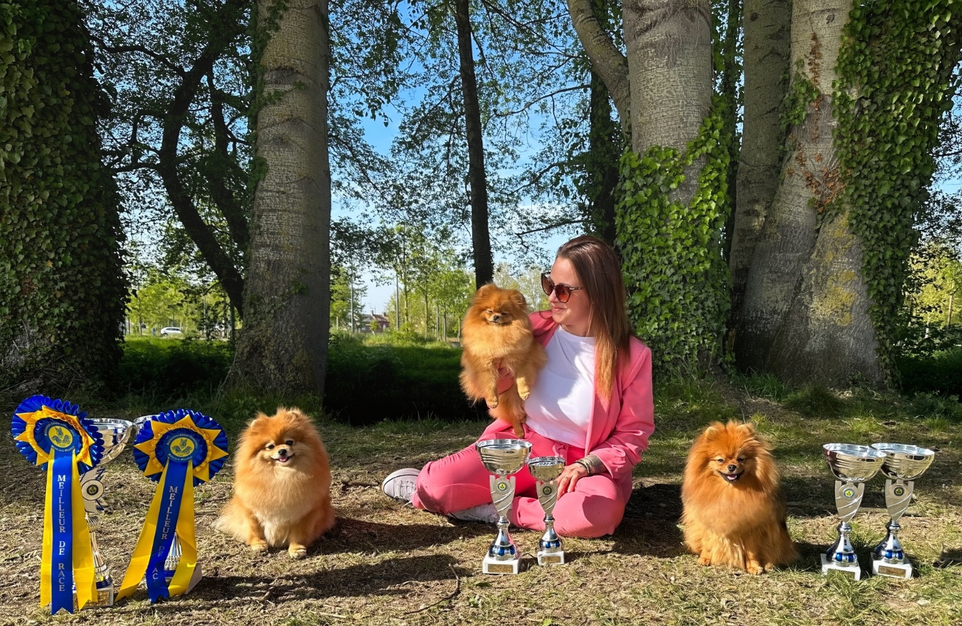 CH. Pom Of The Gang Chantilly - 1er EXC, CACIB, BEST OF BREED