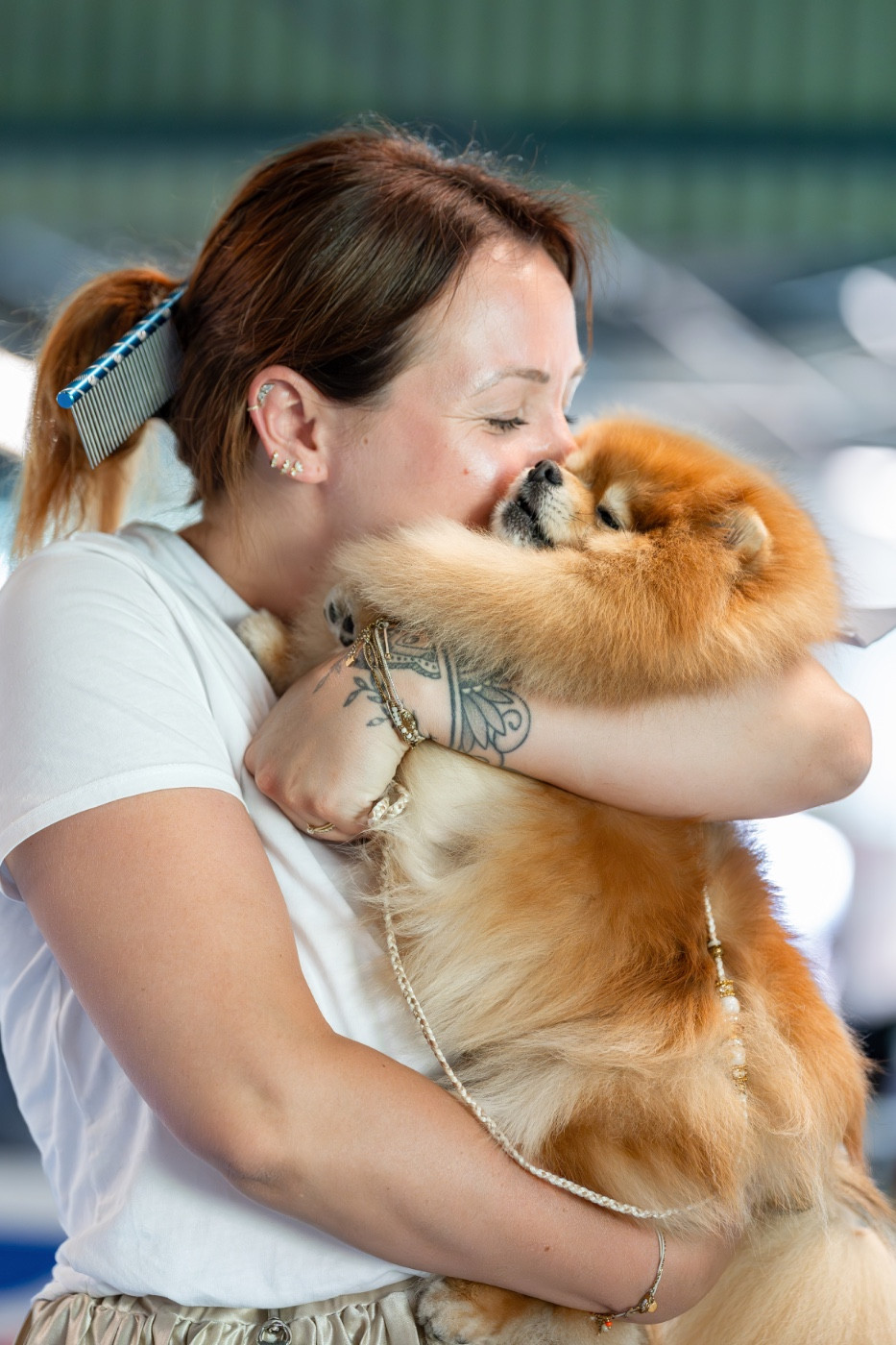 CH. Pom Of The Gang Chantilly - 1er Excellent, CACIB, BEST CHAMPION, BEST OF BREED