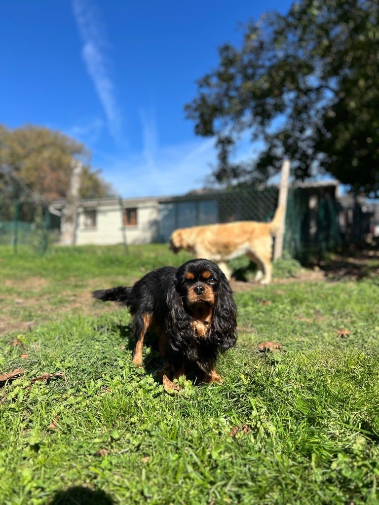 Ushuaia Des Grands Reves Du Sud
