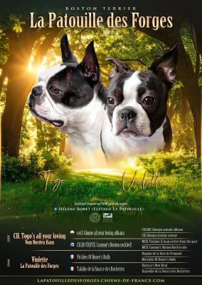 La Patouille des Forges