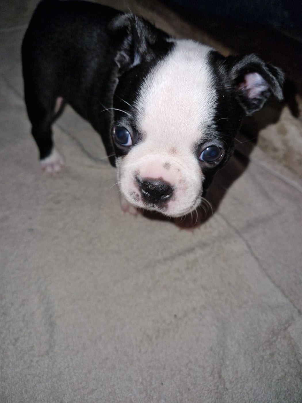 Billy