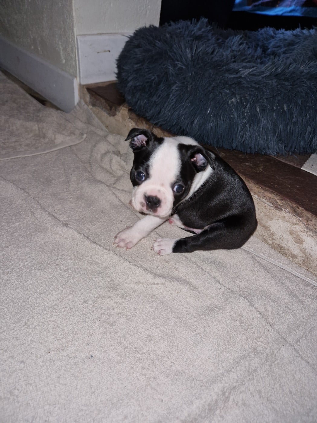 Billy