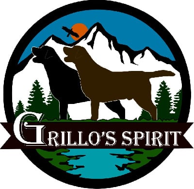 Grillo's Spirit