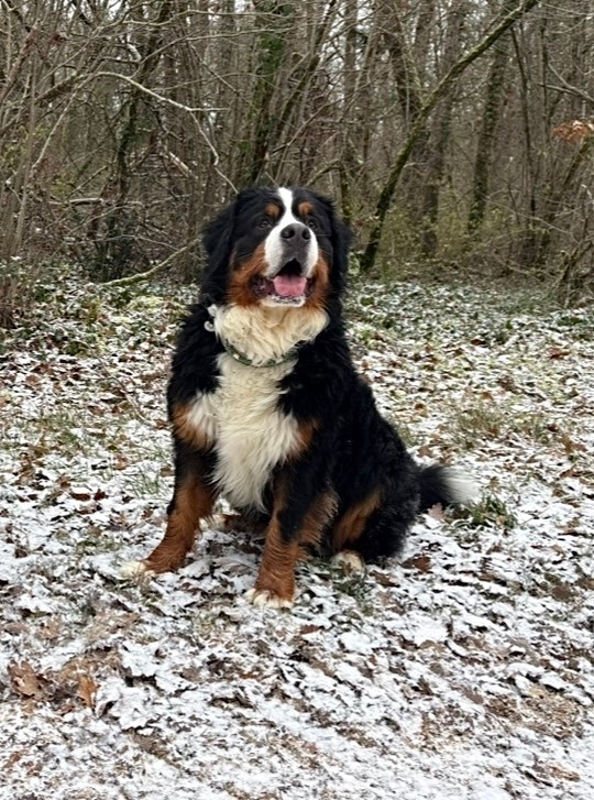 UNIQUEMENT ELLE d' aïnhoa