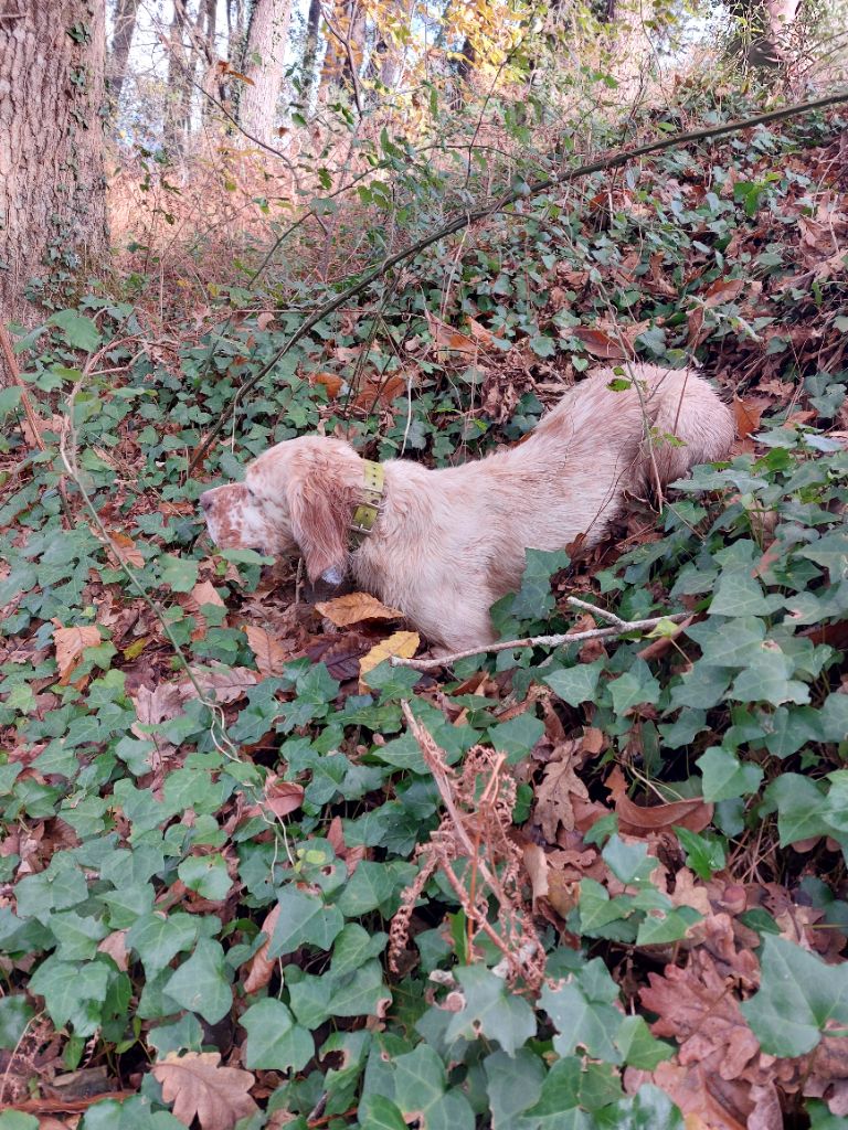 Publication : Des Sources D'Artiguepan