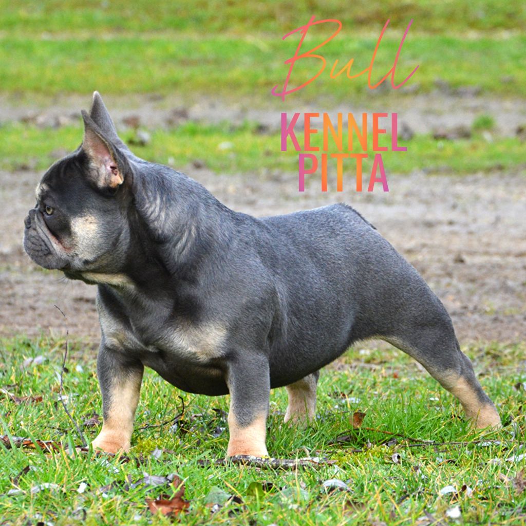 Publication : du domaine des egeasseaux Auteur : Domaine des Égeasseaux