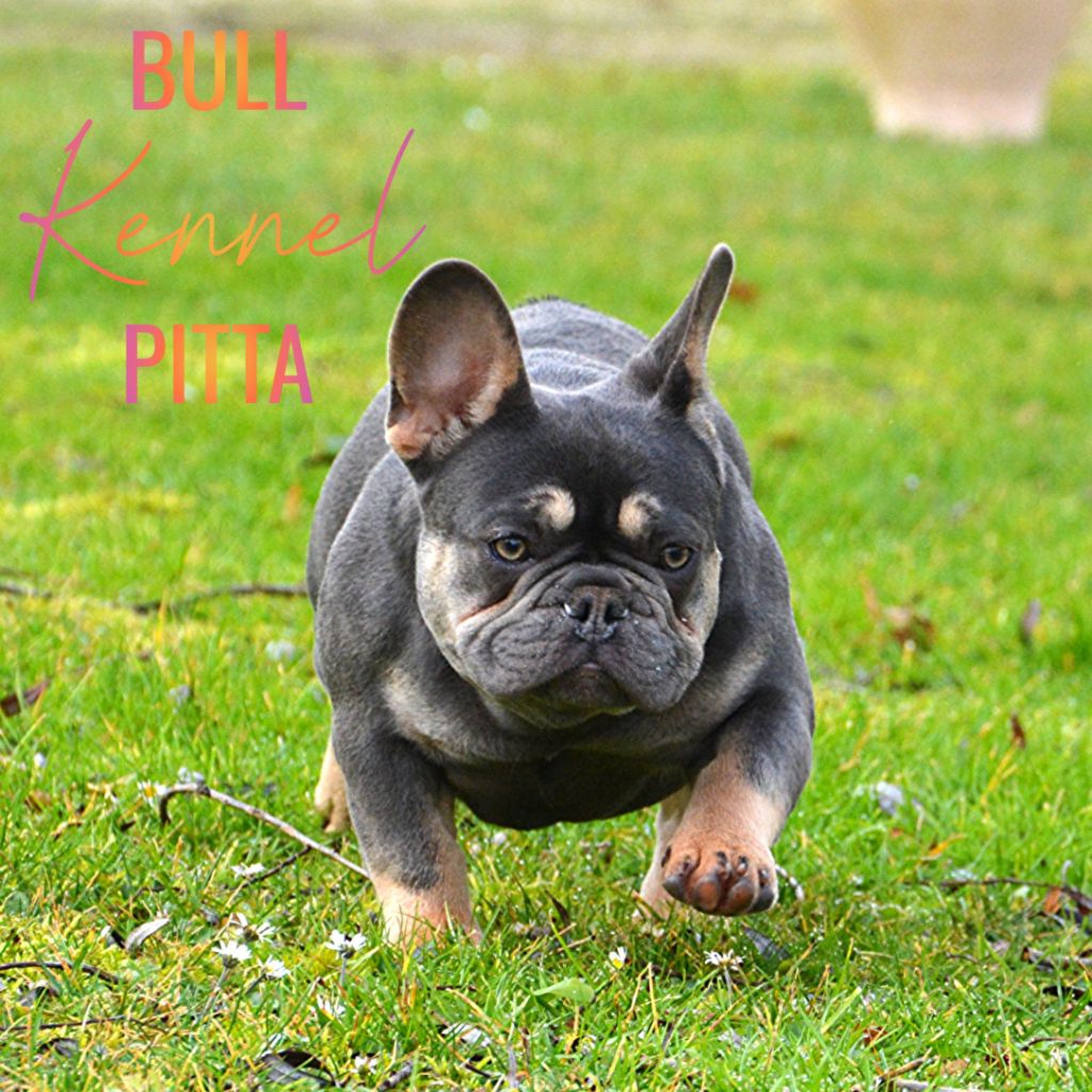 Publication : du domaine des egeasseaux Auteur : Domaine des Égeasseaux