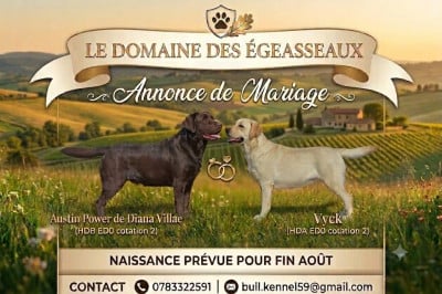 du domaine des egeasseaux