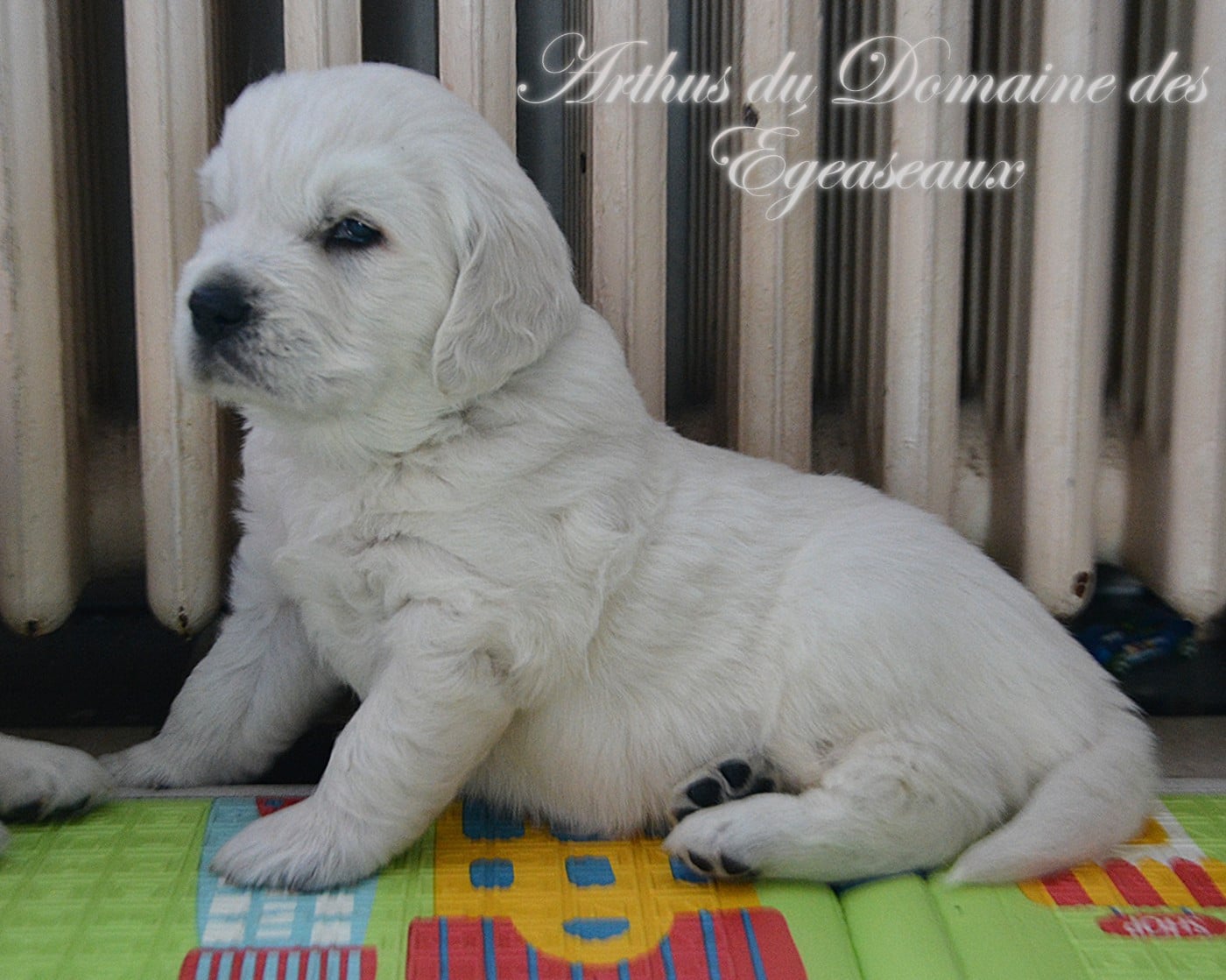 Arthus du Domaine des Égeasseaux