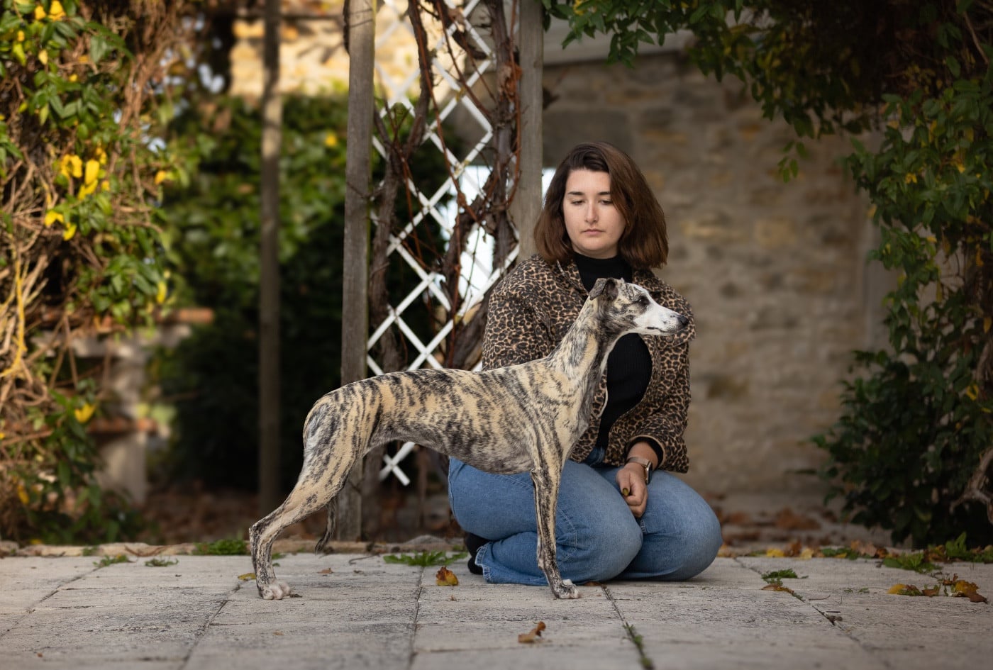 Publication : Zilcis