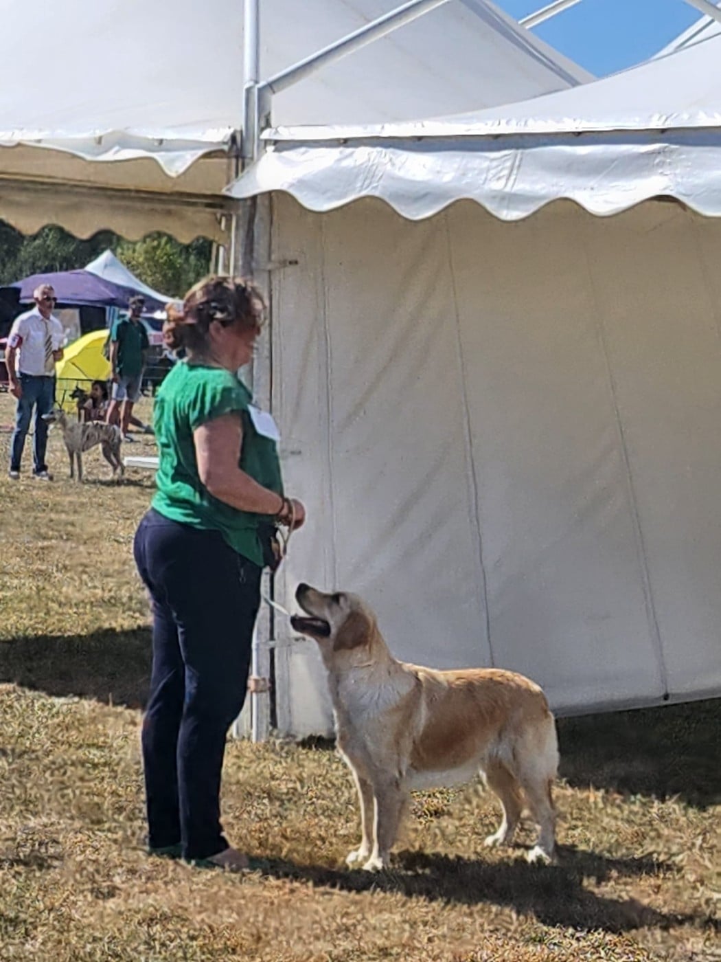 Tout le bonheur du monde dite SEATTLE des Alten de la Burgerie