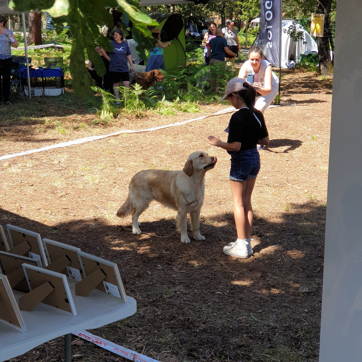 Tout le bonheur du monde dite SEATTLE des Alten de la Burgerie