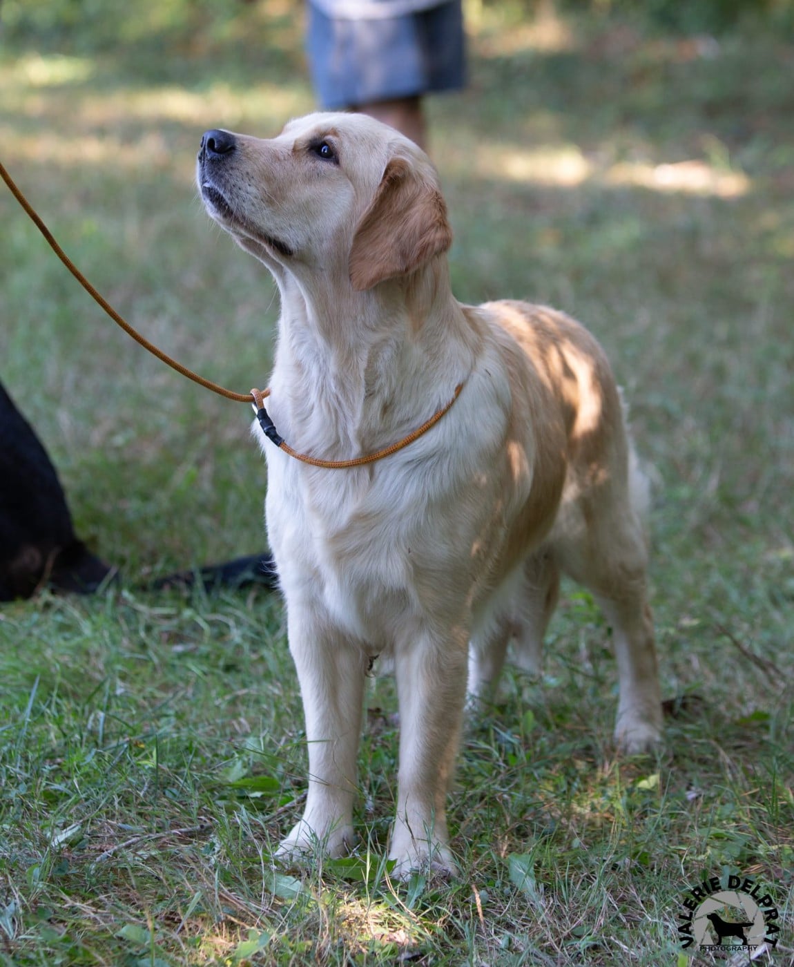 Tout le bonheur du monde dite SEATTLE des Alten de la Burgerie