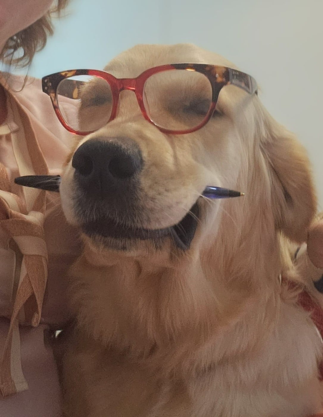 Tout le bonheur du monde dite SEATTLE des Alten de la Burgerie