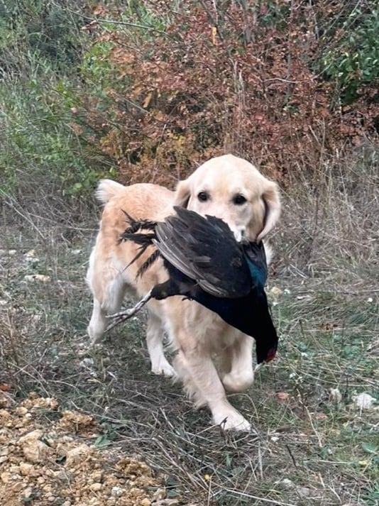 Tout le bonheur du monde dite SEATTLE des Alten de la Burgerie