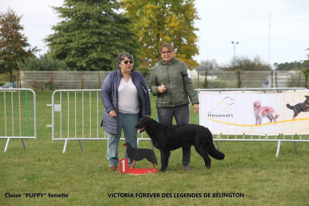 ChCS-J et ChEN-J Victoria Forever Des Légendes De Belington