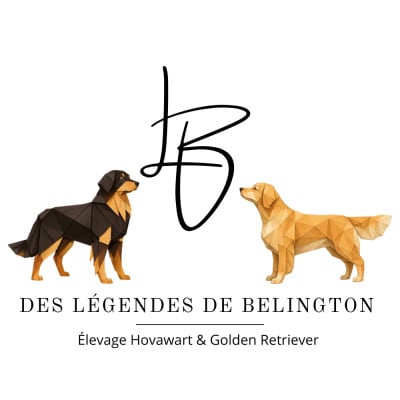 Des Légendes De Belington
