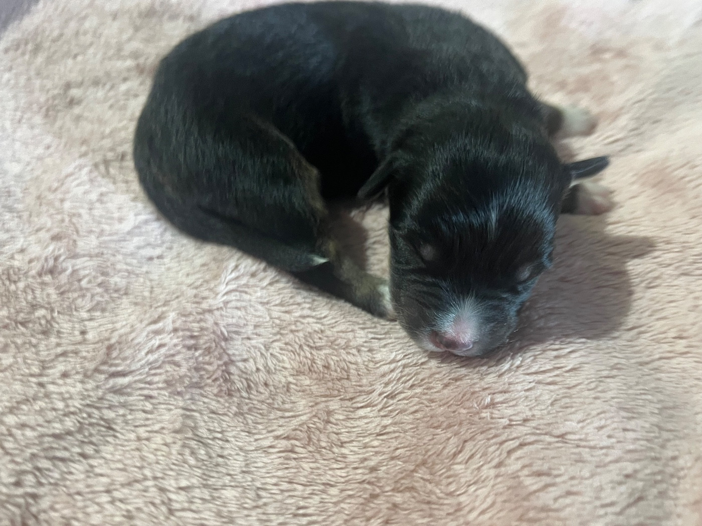 Abyss (le nom est modifiable)