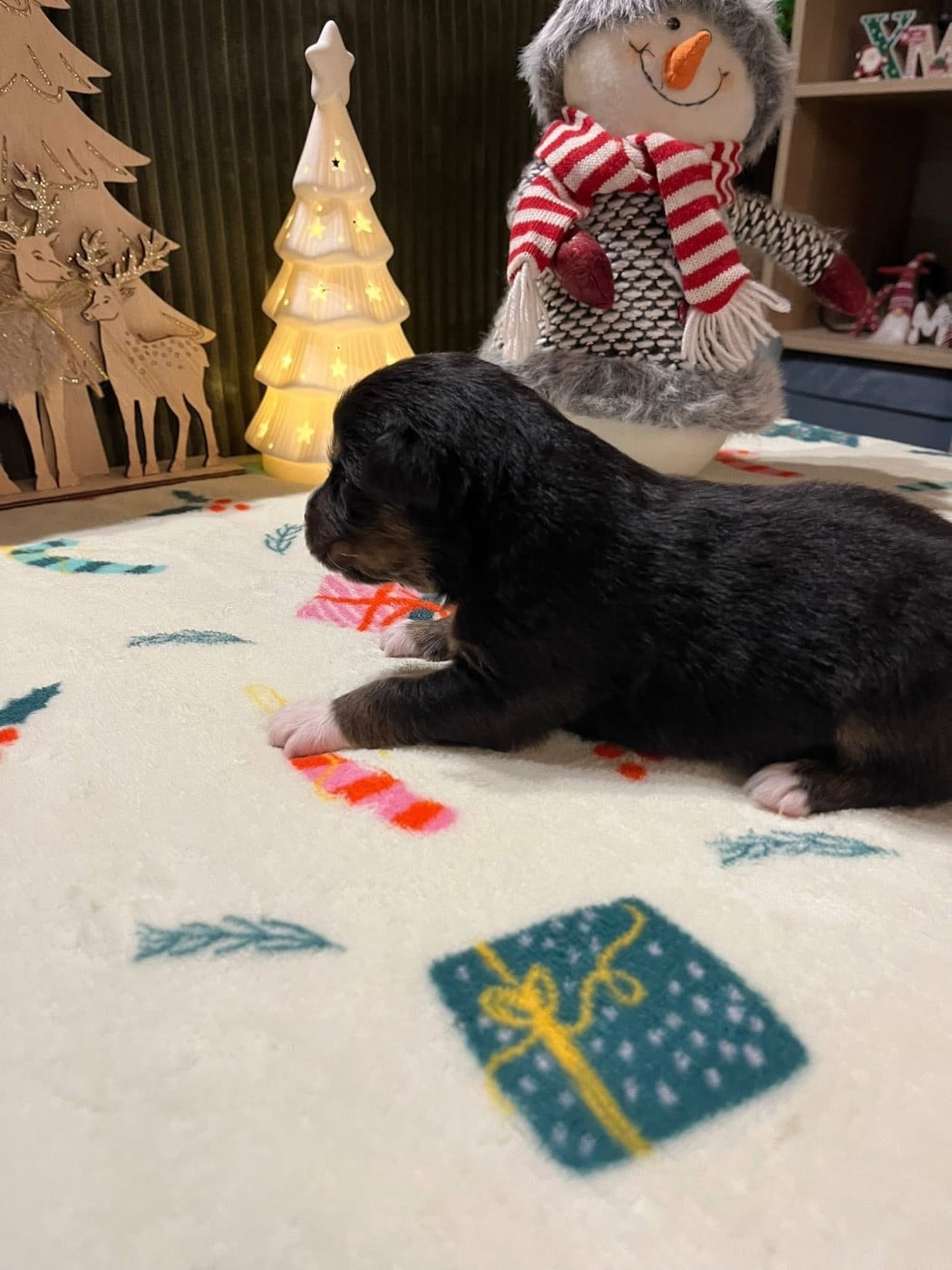 Abyss (le nom est modifiable)