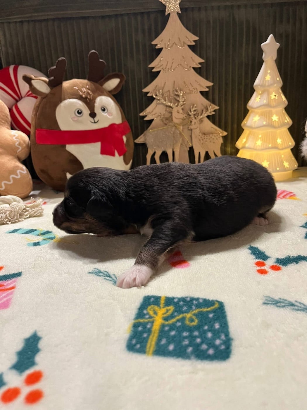 Abyss (le nom est modifiable)