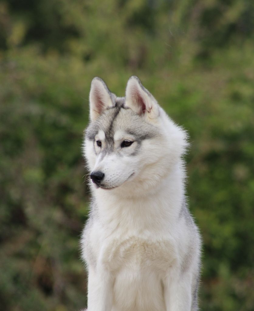 Attractive naomi Of Umok's Dreams