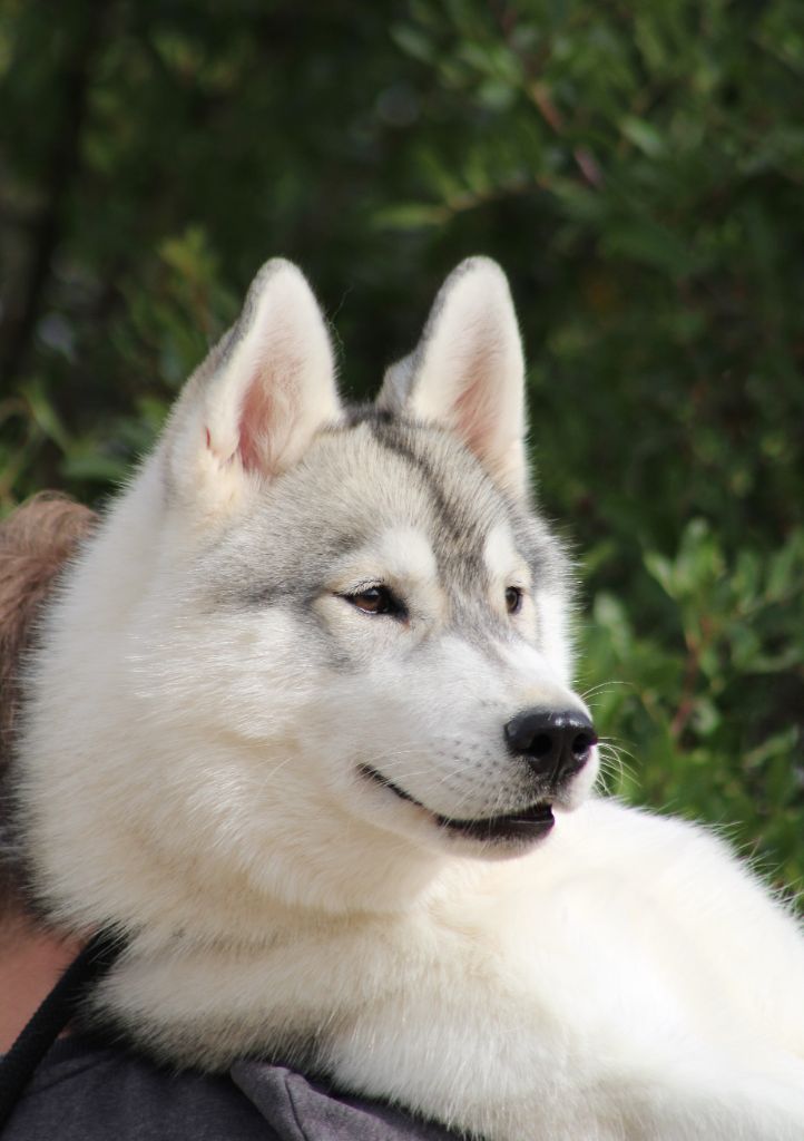 Attractive naomi Of Umok's Dreams