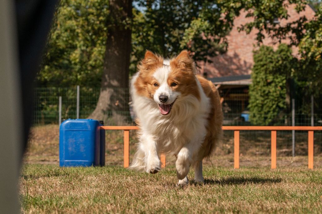 Publication : From Buddy's Kingdom