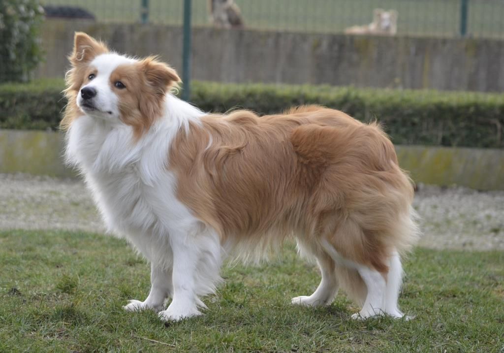 Publication : From Buddy's Kingdom