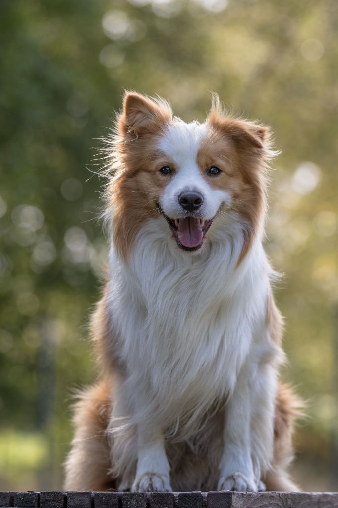 Publication : From Buddy's Kingdom