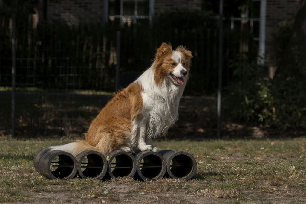 Publication : From Buddy's Kingdom