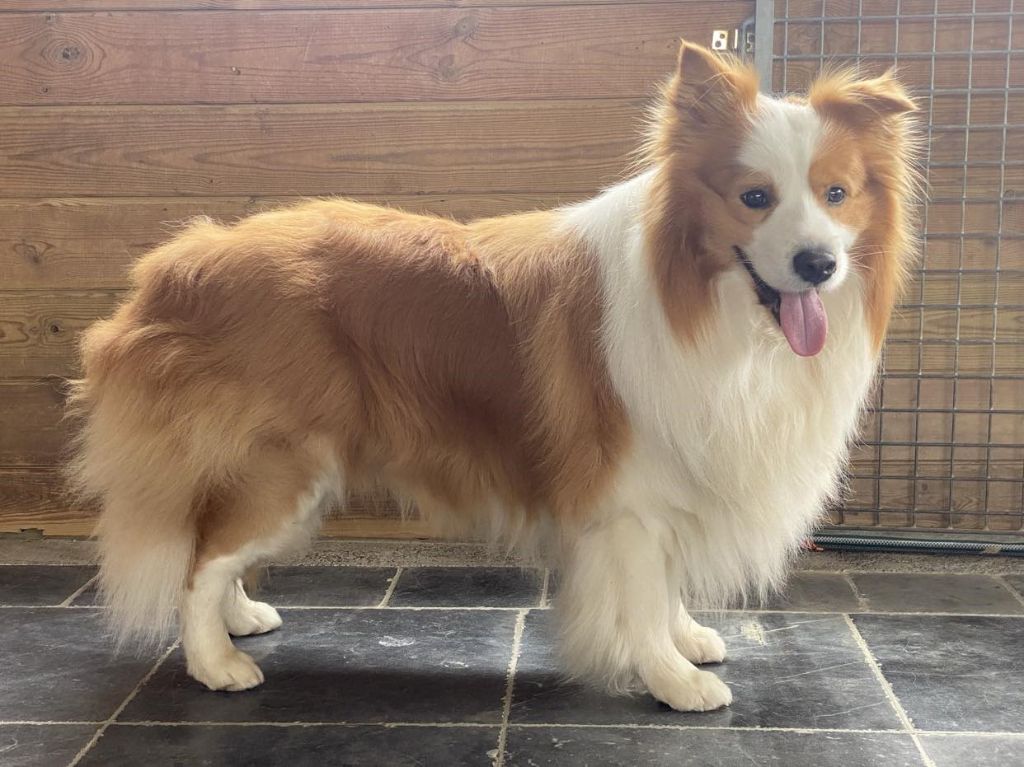 Publication : From Buddy's Kingdom