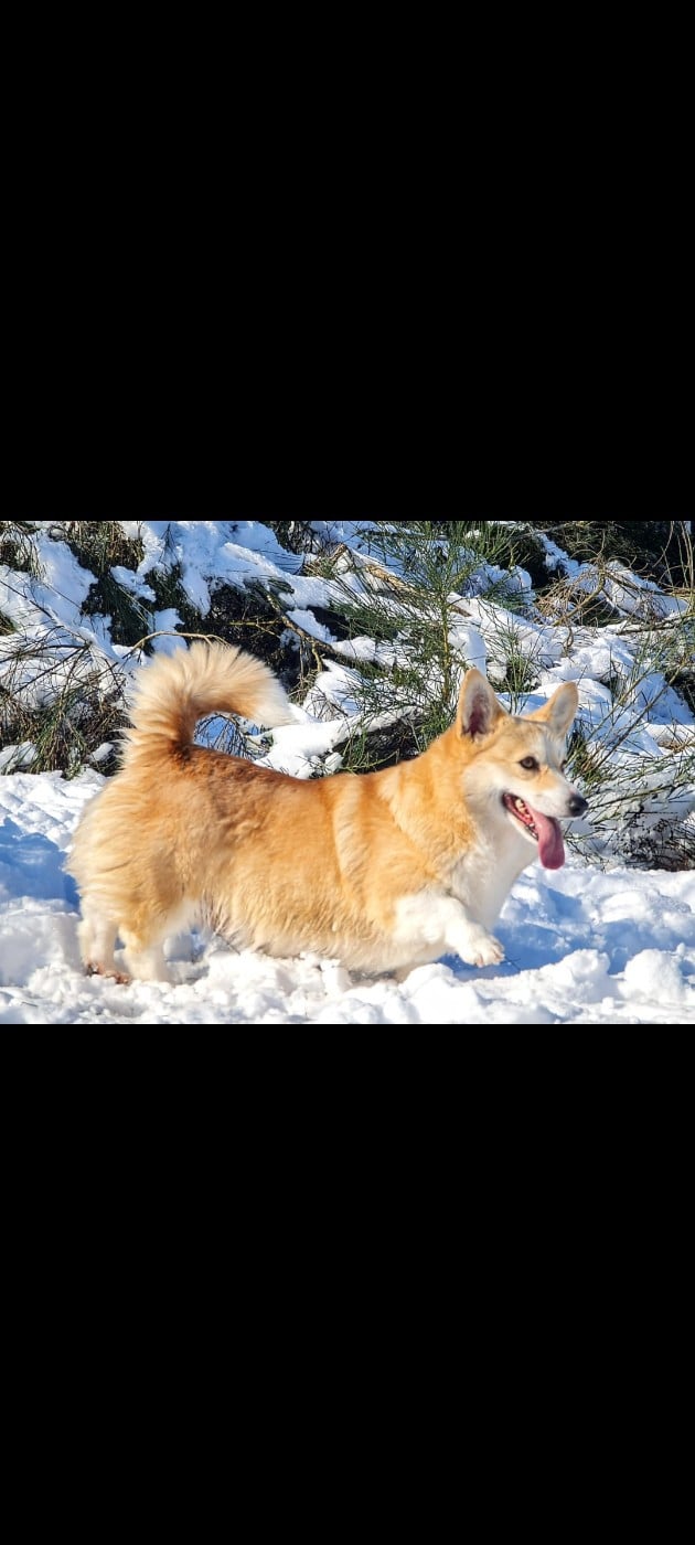 Publication : du Logeo de l'Ixaro