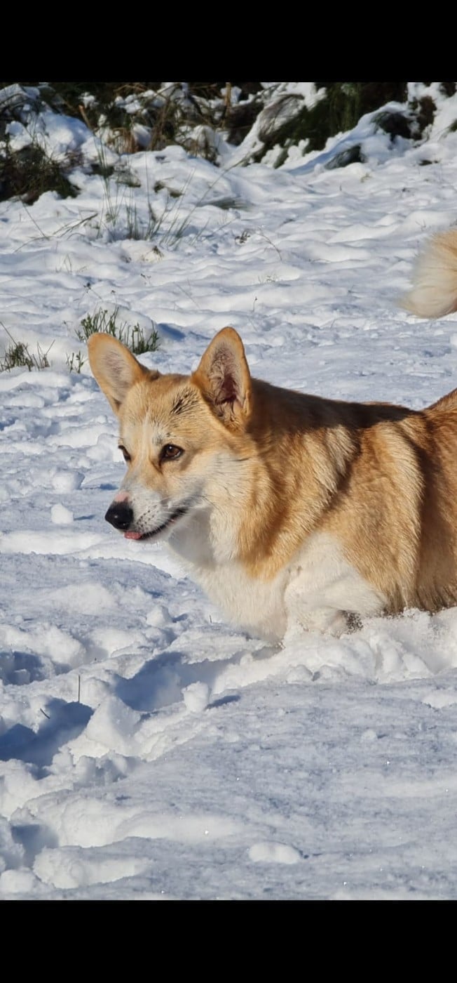 Publication : du Logeo de l'Ixaro