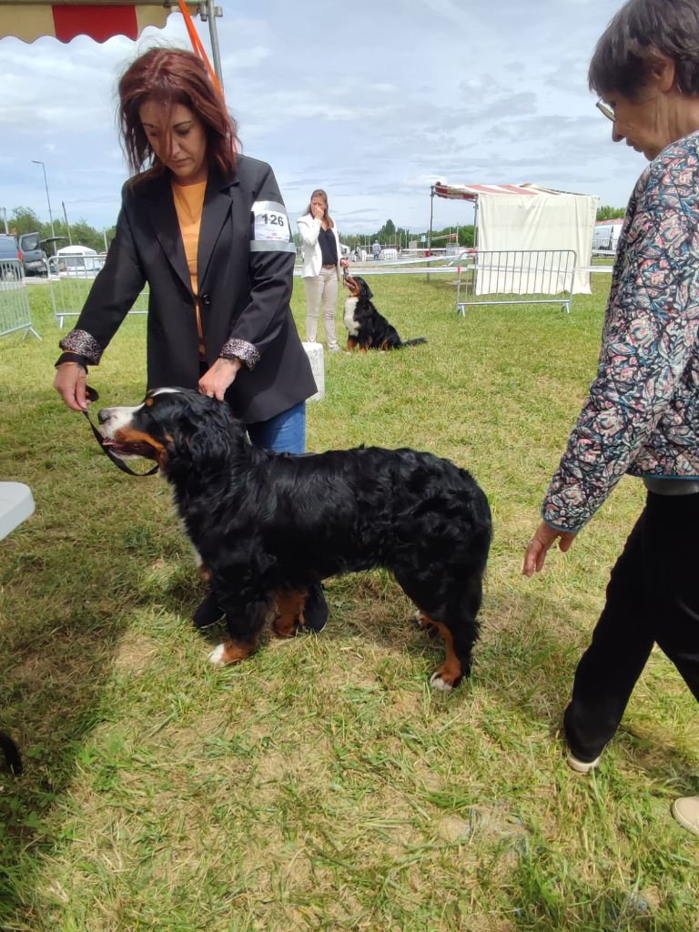 Taïra (Sans Affixe) - TRES BON