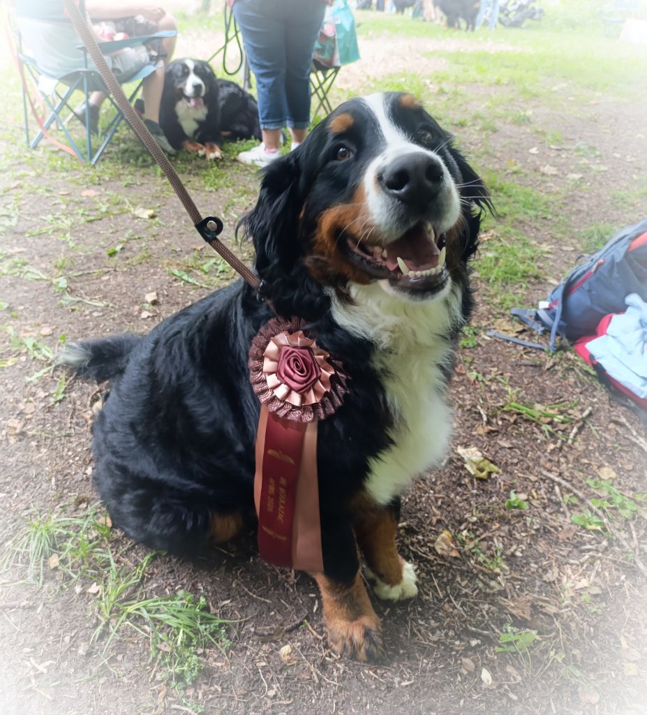 Taïra (Sans Affixe) - TRES BON