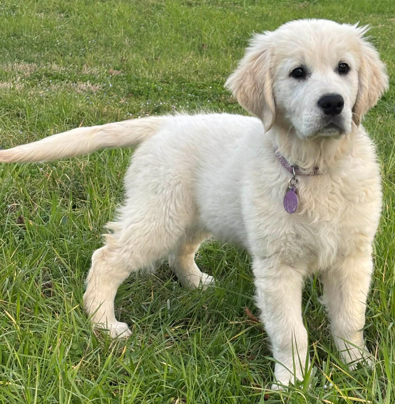 Publication : (Sans Affixe)