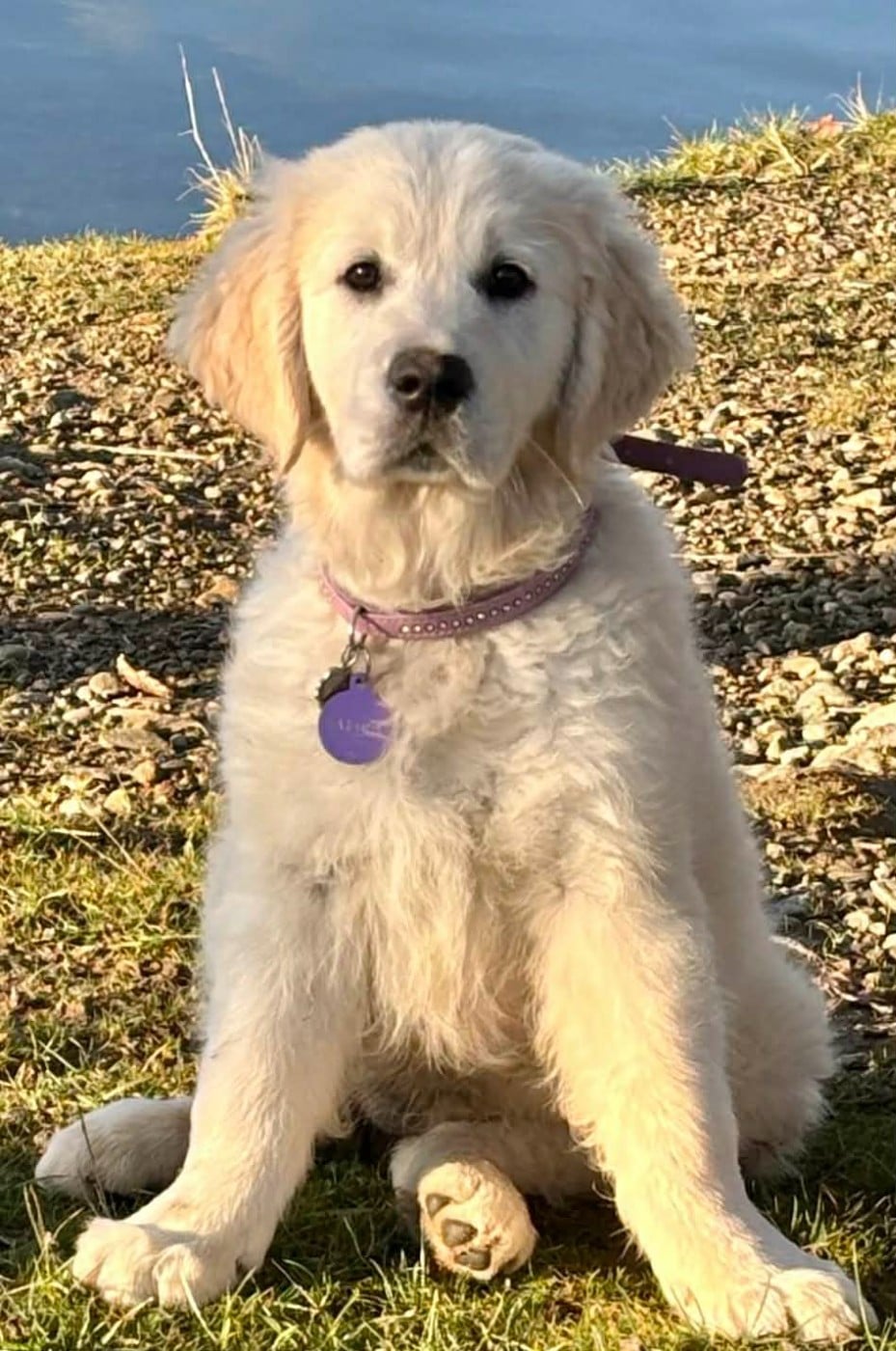 Publication : (Sans Affixe)