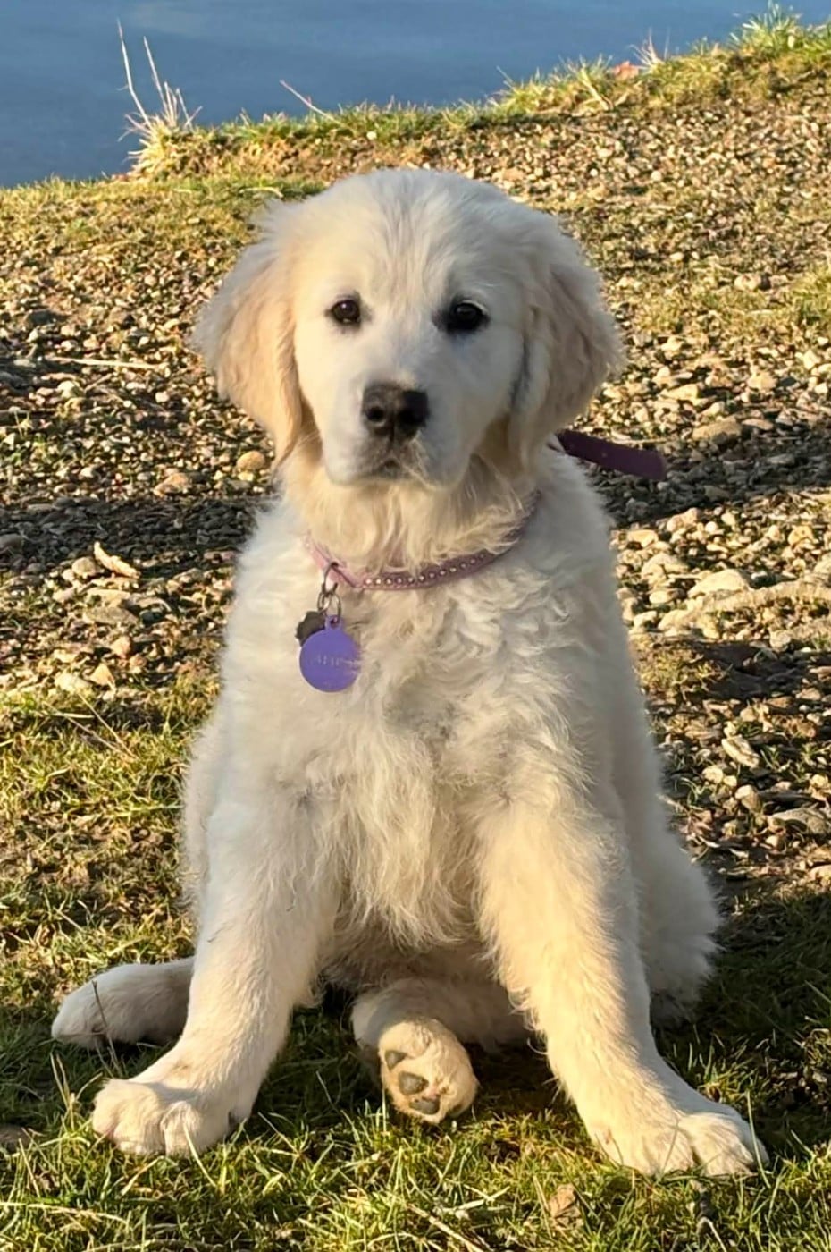 Publication : (Sans Affixe)